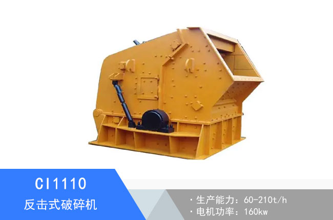 CI1110����ʽ����C
