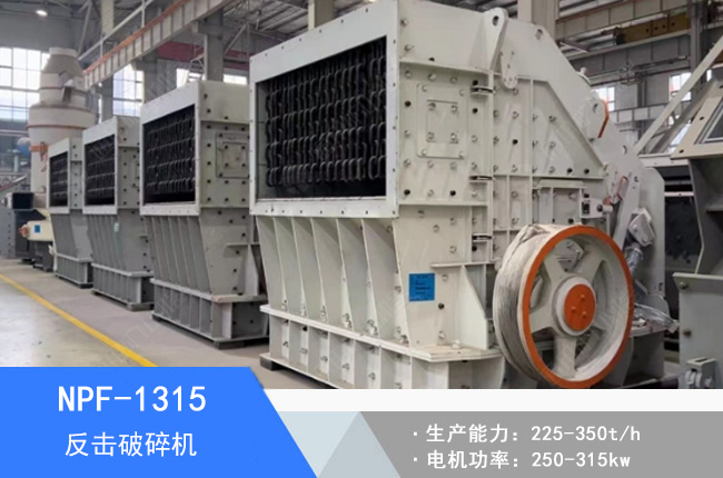 NPF-1315�W�淴������C