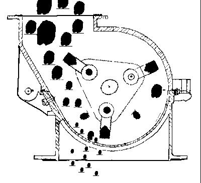 ����C�������