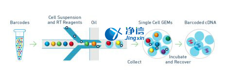 中國人自己的微流控單細(xì)胞測(cè)序儀來了！_微流控Drop-seq,微流控技術(shù)