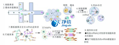 中國人自己的微流控單細(xì)胞測(cè)序儀來了！_微流控Drop-seq