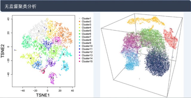 單細(xì)胞轉(zhuǎn)錄組測(cè)序(10x Genomics)詳解