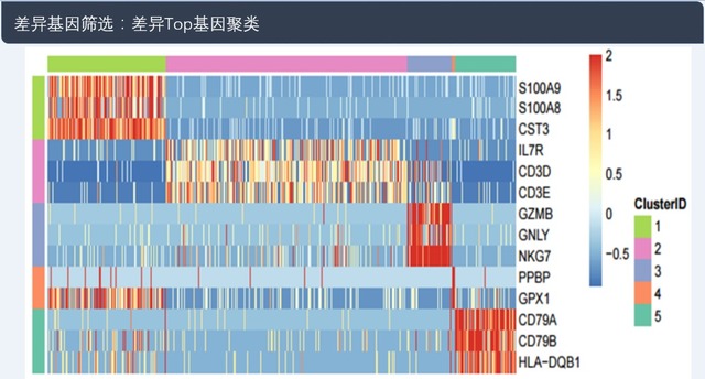 單細(xì)胞轉(zhuǎn)錄組測(cè)序(10x Genomics)詳解