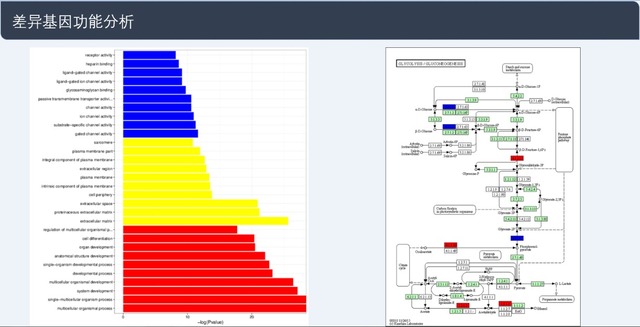 單細(xì)胞轉(zhuǎn)錄組測(cè)序(10x Genomics)詳解