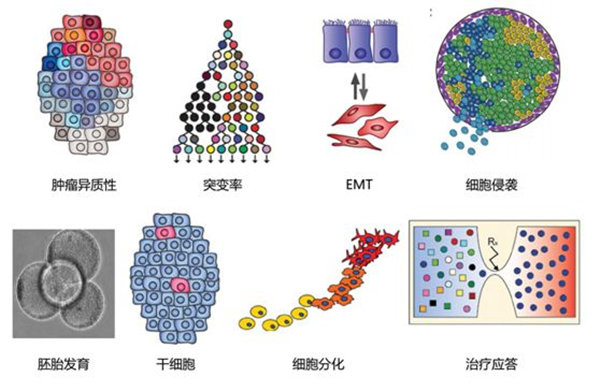 單細(xì)胞RNA測序方法的比較分析