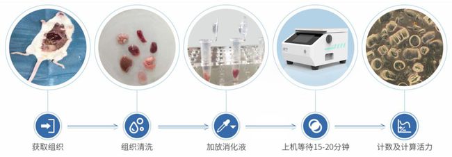 細胞制備懸液分離流程